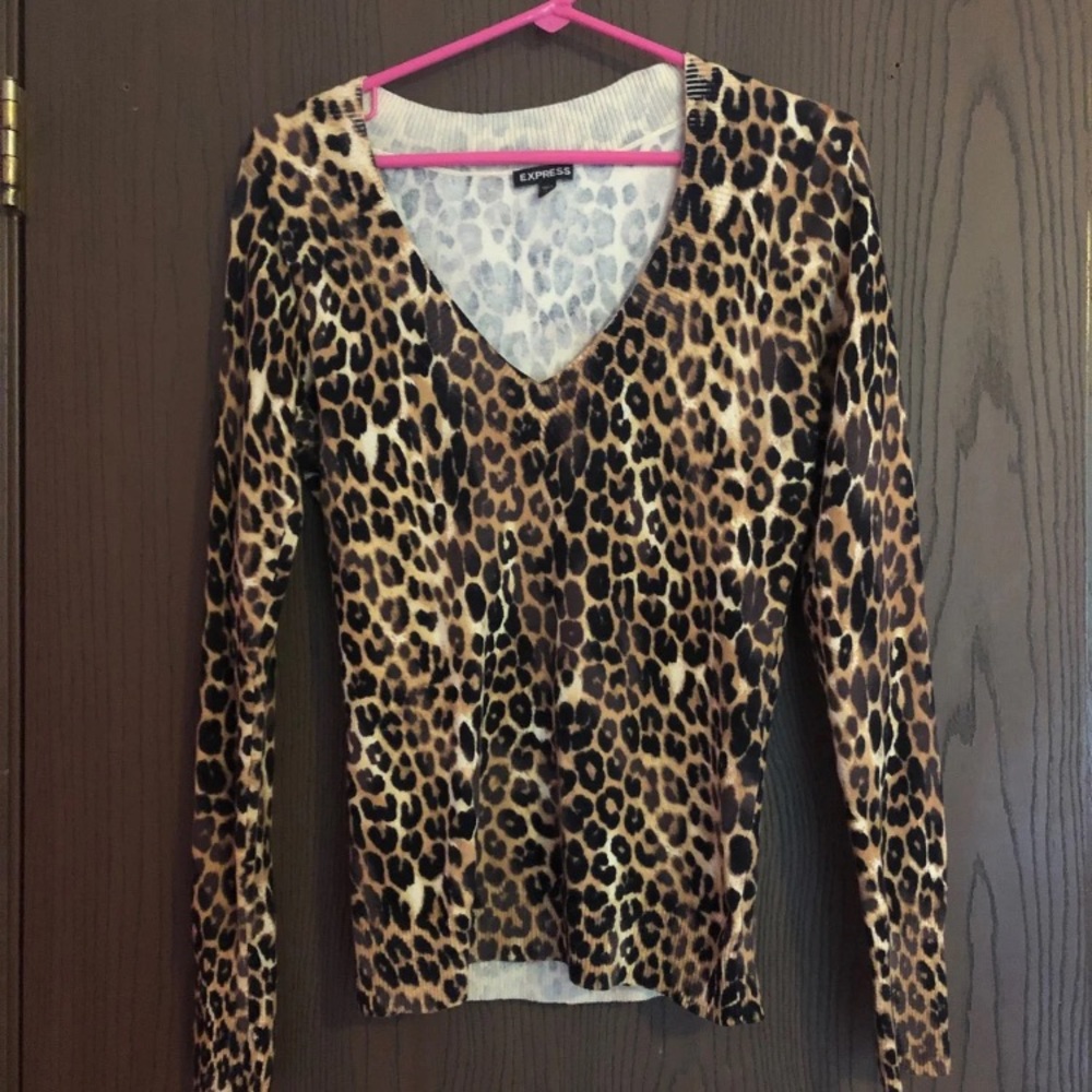 Express Sweater